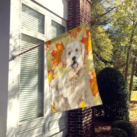 Caroline's Treasures CK1842CHF Fall Leaves Goldendoodle Flag Canvas House Size, Large, Multicolor