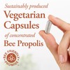 Dutchman's Gold Propolis 500 mg 90 caps - 2X Concentrate