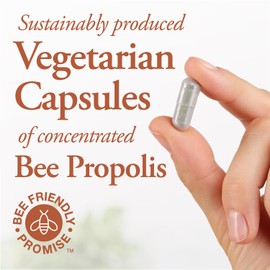 Dutchman's Gold Propolis 500 mg 90 caps - 2X Concentrate