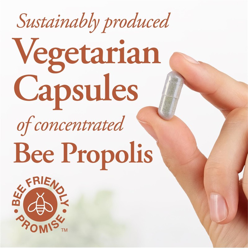 Dutchman's Gold Propolis 500 mg 90 caps - 2X Concentrate