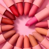 Beauty Creations Labial Soft Matte Beauty Creations Tease Me Color