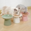 CEEFU Extra Wide Elevated Ceramic Cat Bowl, 6.2" Shallow Dish