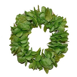 Rainview Creations Hawaii Floral Headband-haku Lei Elastic Hawaiian Haku Leis Headdress Color Solid Green