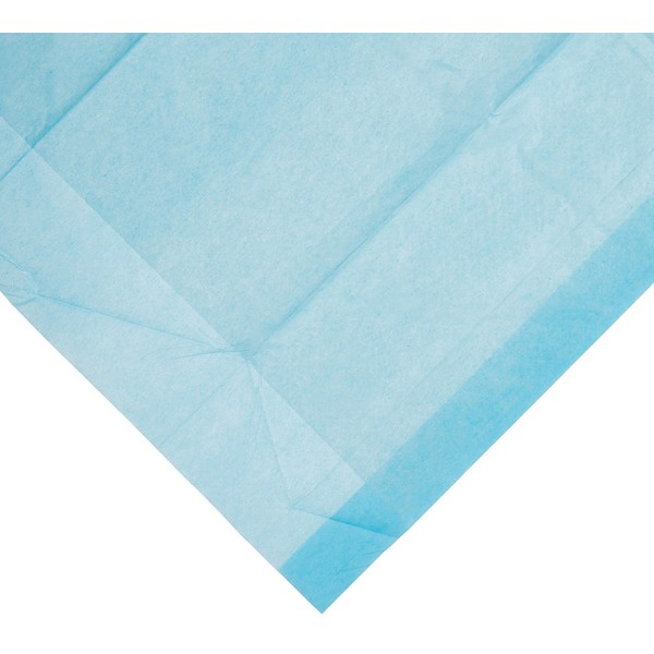 Dynarex #1340 Underpads, 17x24 in. Economy Tissue Fill, 100ct, Blue