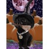 Kremers Schatzkiste Black Witch Cat with Broom 18 cm Gothic