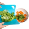 Plastic Flexible Cutting Mats for Kitchen, 3pcs Color Coded Chopping