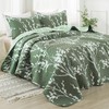 Andency Green Quilt Queen Size (96x90 Inch), 3 Pieces Fall
