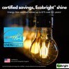 LafoHome EcoBright 8PK Dimmable A19 LED Filament Bulb, 9W (60W
