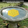 NQEUEPN Floating Bee Island, Bee Cup Honey Drinker Outdoor Stable