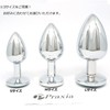 Praxia Jewelry, Plug, Small, Maximum Diameter 1.1 inches (2.8 cm),