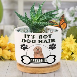 luckluccy Planters for Indoor Plants Set of 2 Planting Pots Its Not Dog Hair Briard Dog Ceramic Garden Pots with Removable Base Dog Animal Animal Theme Puppy Doggy Pot for Office Home