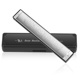 Harmonica Professional C Major Blues Harmonica Diatonic 24 Hole with Case for Blues Folk Jazz Pop for Adults Child Children Student Beginners Gift (Silver)