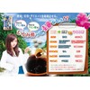 Japan Gals Ryukyu Moromi Vinegar Tablets 9.5 oz (270 mg)