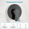 Hurran Shower System with 10 Inch Rain Shower Head and