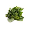 Viridis Hortus - Broccoli Raab (Cime di rapa) - 3,000