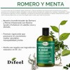 Difeel Champú fortalecedor del cabello de romero y menta, 12
