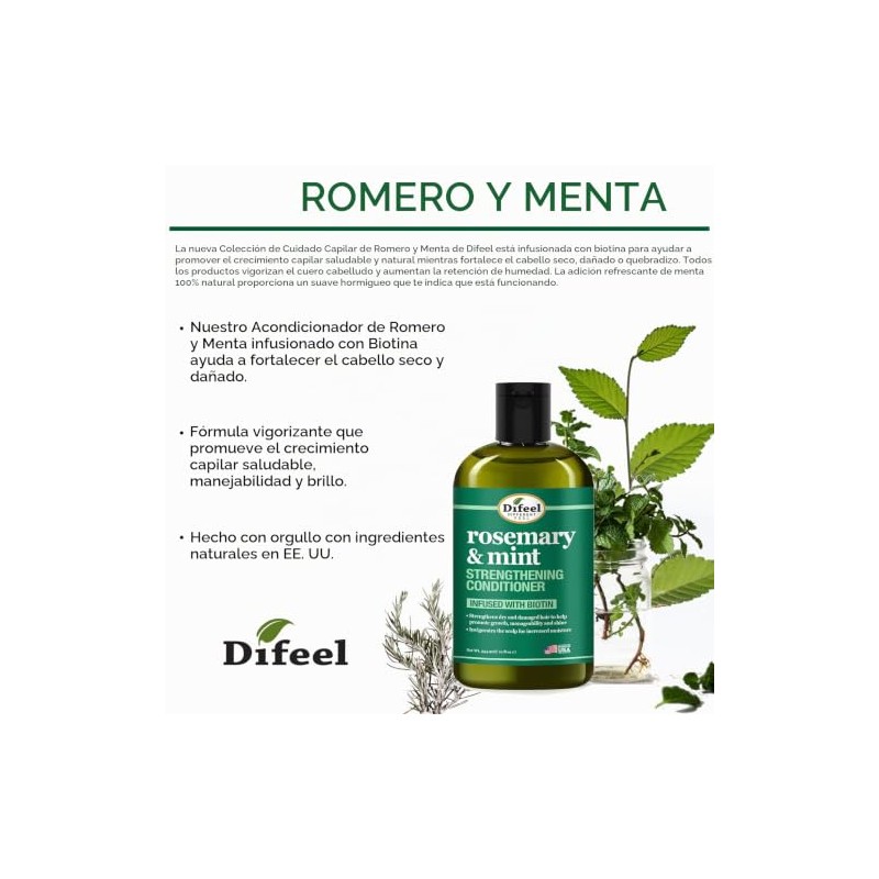 Difeel Champú fortalecedor del cabello de romero y menta, 12