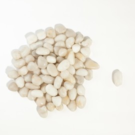 24 LBS River Rocks, StoneCreek, Decorative Garden Stones for Plant Landscaping, Polished Gravel Filler Pebbles for Home Decoration, Vases, Succulents, Flower Beds and Fish Tanks (White, Medium)