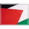 Aricona Palestine Flags, Weatherproof Flags with Brass Eyelets in Various