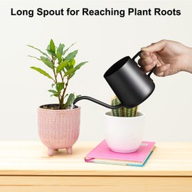 Lizhluzh Lizhluzh Watering Can Indoor Plants, Indoor Watering Can 12 oz / 350 ml, Small Watering Can with Long Spout, Stainless Steel Plant Watering Can (Black)