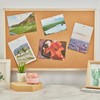 FUDAO FAMILY 300pcs Push Pins for Bulletin Board, Thumb Tacks