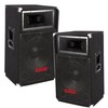 Patron Pro Audio PSS-1700 Single 15 Inch 2 Way Speaker