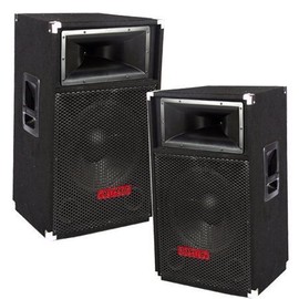 Patron Pro Audio PSS-1700 Single 15 Inch 2 Way Speaker 1700 Watts Max Peak Momentary Power with 1.34 Dome Driver