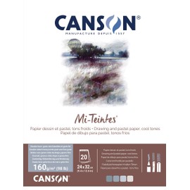 CANSON Mi-Teintes C31032P005 Coloured Drawing Paper, Double-Sided: Honeycomb Structure and Fine Grain, 160 gsm, 98 lb, Glued Pad on the Short Side, 24 x 32 cm, 4 Cool Tones, 20 Sheets