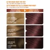 Garnier Belle Color Permanent Hair Dye, 46 Burgundy Auburn, 100%