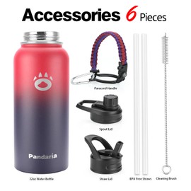 Pandaria Insulated Water Bottle 32oz, Stainless Steel Water Bottle with Straw & Spout Lids & Paracord Handle (Vampire, 32 Ounces with Paracord Handle)
