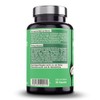 Dr. Fleckenstein Green Tea Extract Highly Concentrated Dietary Supplement with