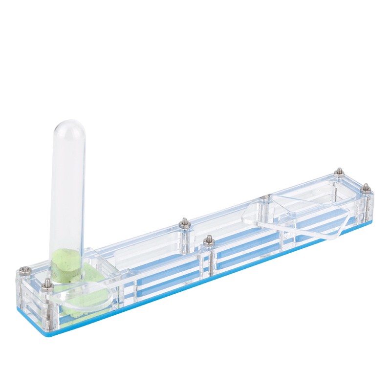 Acrylic Ant Breeding House Nest Formicarium Display Box with Water