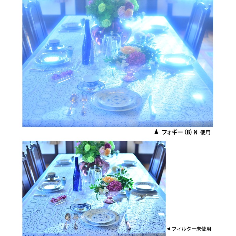 Kenko レンズフィルター フォギー (B) N 49mm ソフト効果用 199435