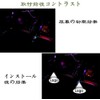 DISYEE 2pcs HD Laser Logo Light Door Welcome Light Door