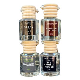 The Blooming Cactus & Co. - 4 Pack Air fresheners|Long lasting car air fresheners, Hand-made in USA|Car accessory|Scented Car|Small room diffuser|Small Business Woman Owned. (Fresh & Earthy Pack Mix)