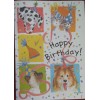 Current SUZY'S ZOO WAGS & WHISKERS HAPPY BIRTHDAY GREETING CARD