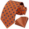 HISDERN Orange Ties for Men Woven Classic Silk Mens Tie