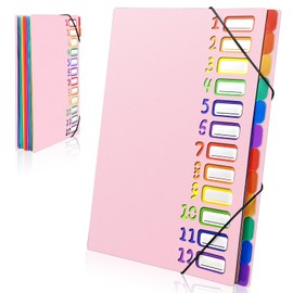 Gemtte Expanding File A4, Folder System with 12 Compartments, 24 Pockets, Document Folder, Colourful Waterproof Organiser for School, Office Supplies (Pink)