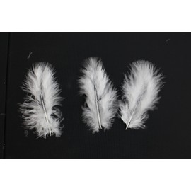 100 Pcs 3”– 4” Decorative Feathers, Colorful Feathers for DIY Craft Wedding Home Party Decorations (White)