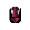 HISDERN Ties for Men Polka Dot Classic Handkerchief Formal Elegant