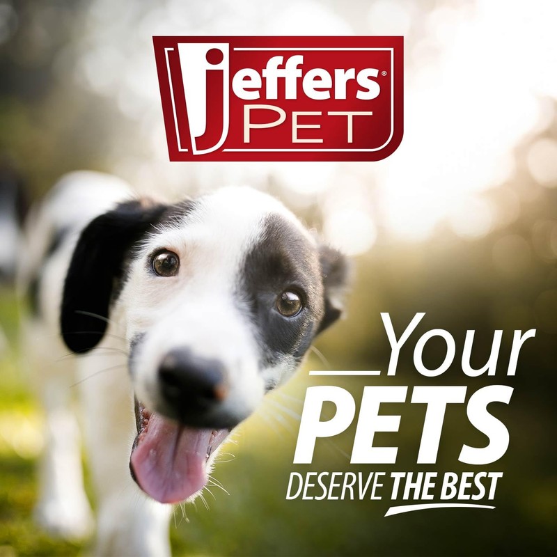 Jeffers Pet Ear Drops for Dogs & Cats – Ear