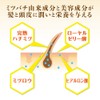 Yamada Apiary Honey Aroma Conditioner (Fluffy Orange) 7.1 oz (200