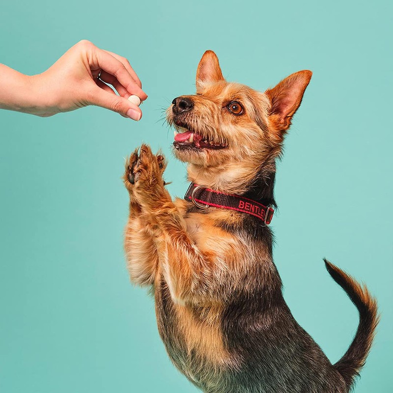 Pooch & Mutt - Daily Joint Care Supplement for Small