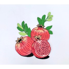 Iron on/Sew on Patches, Pomegranate Embroidered Patches for DIY Clothing, Jackets, Jeans, Backpacks, Hats, Arts Craft Sew Making (Pomegranate)