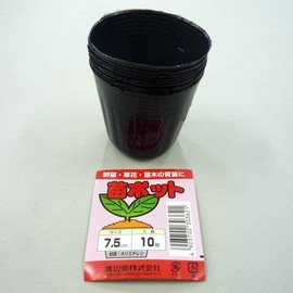 Yasushi Watanabe Seedling Pot, Pack of 10, 3.0 inches (7.5 cm)