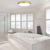 MonDaufie Gold Flush Mount Ceiling Light 2 Pack,9 inch Modern