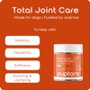 puptons Total Joint Care Supplement for Dogs | Joint Supplement