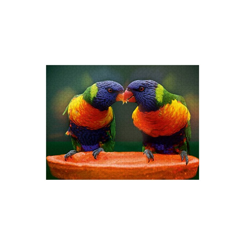 CALVENDO Puzzle Lori Parrots 1000 Pieces 64 x 48 cm
