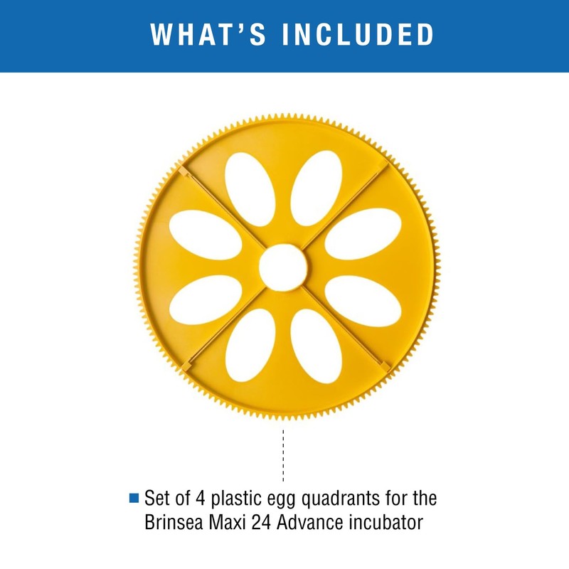 Brinsea Extra Large Egg Quadrant Insert for Maxi Advance Incubator