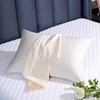 BEIJOEY 100% Mulberry Silk Pillowcase 2 Pack for Hair and